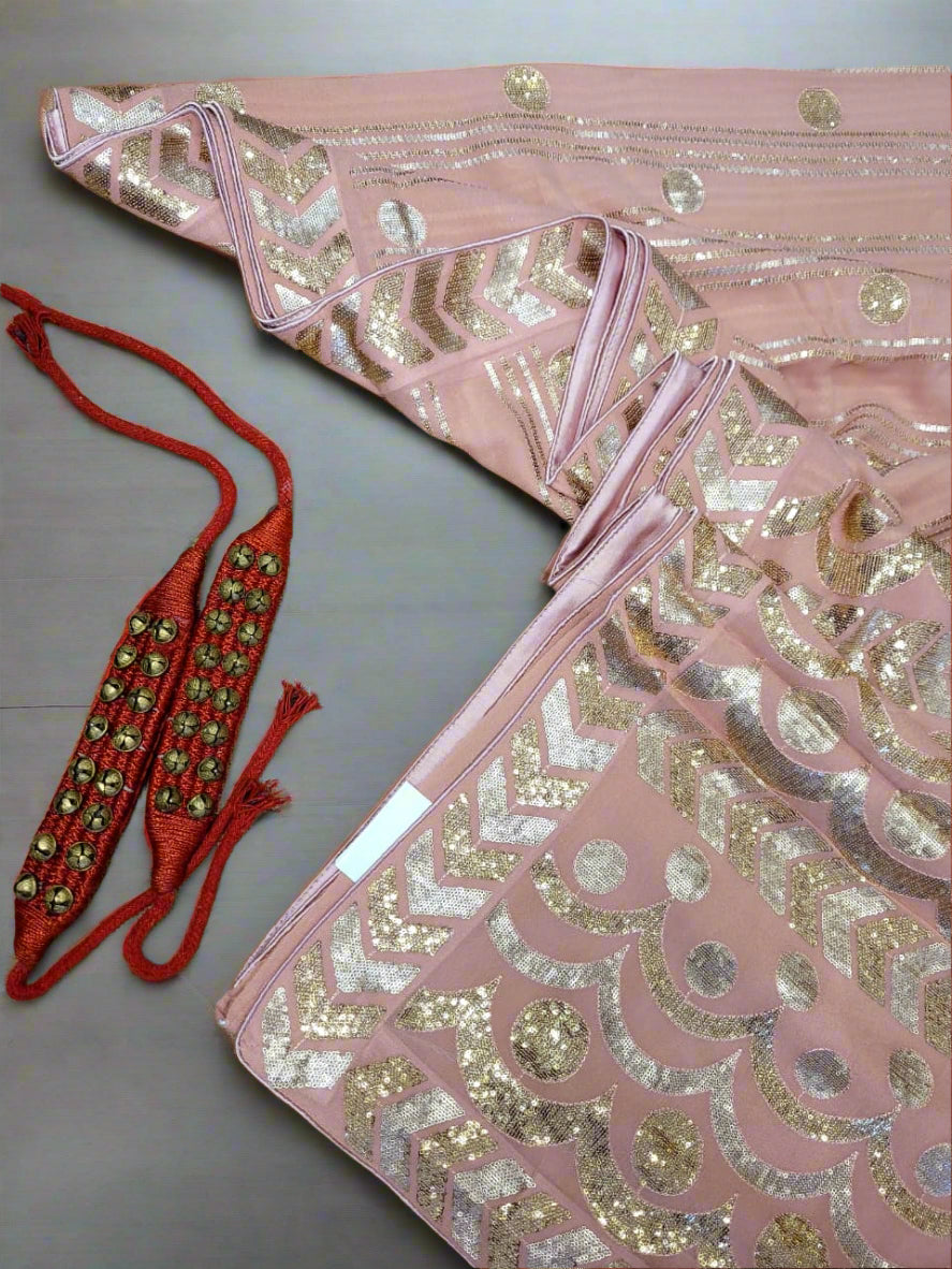 Lace Roshini Georgette Saree