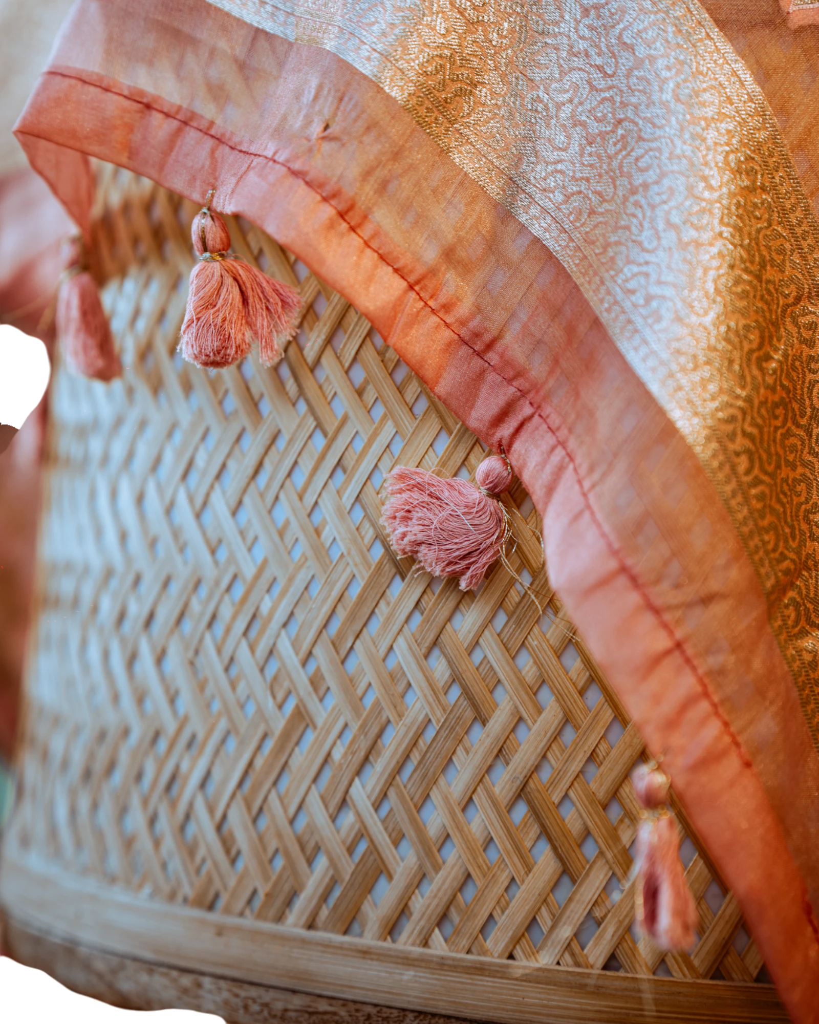 Peach Bhavna Banarasi Organza Saree