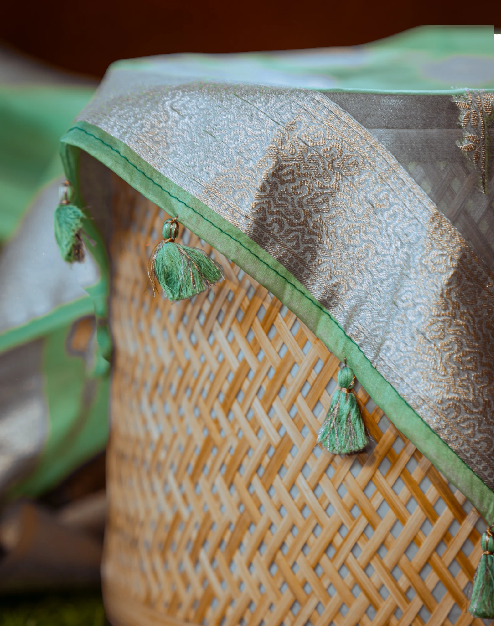 Rama Bhavna Banarasi Organza Saree