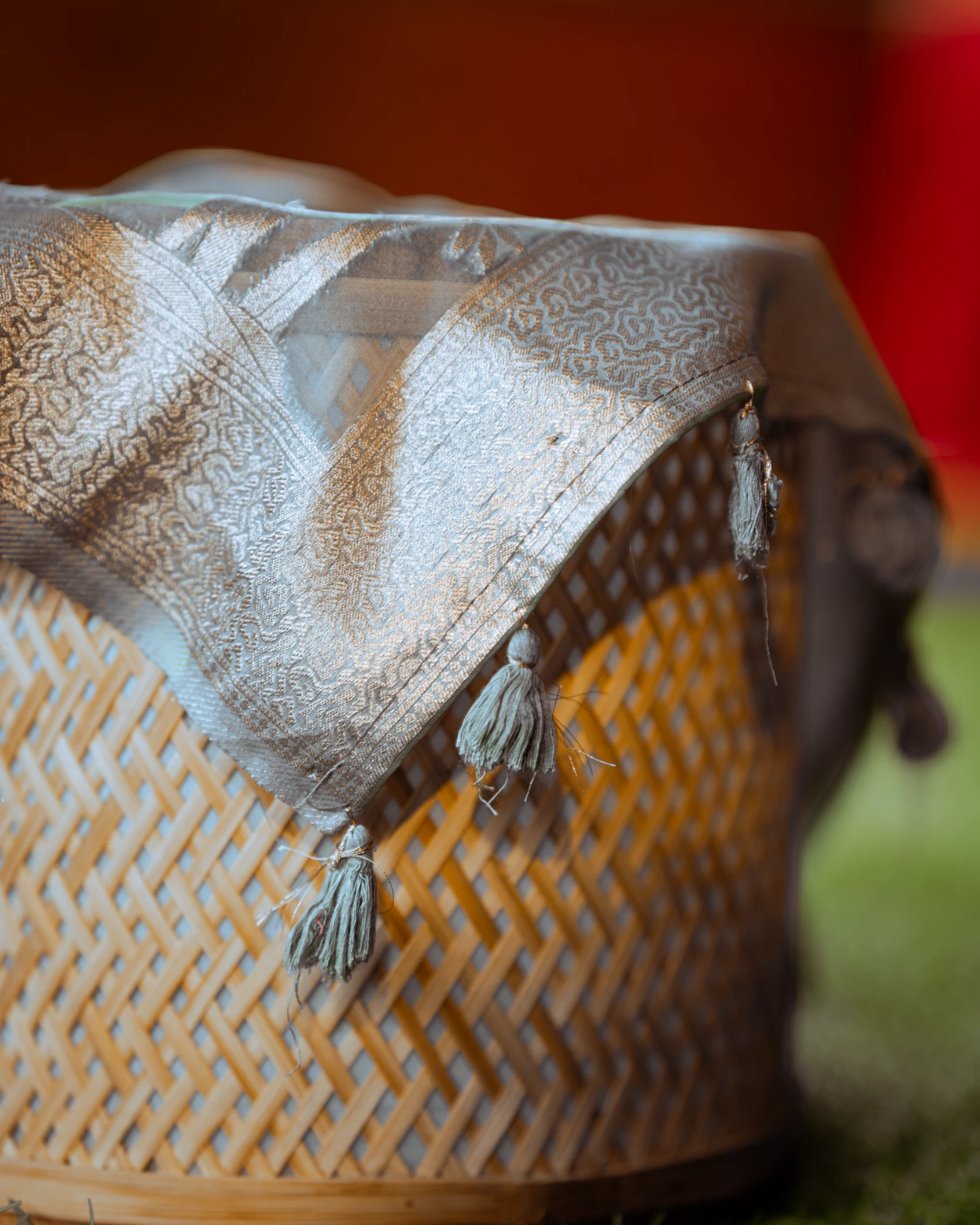 Slate Bhavna Banarasi Organza Saree