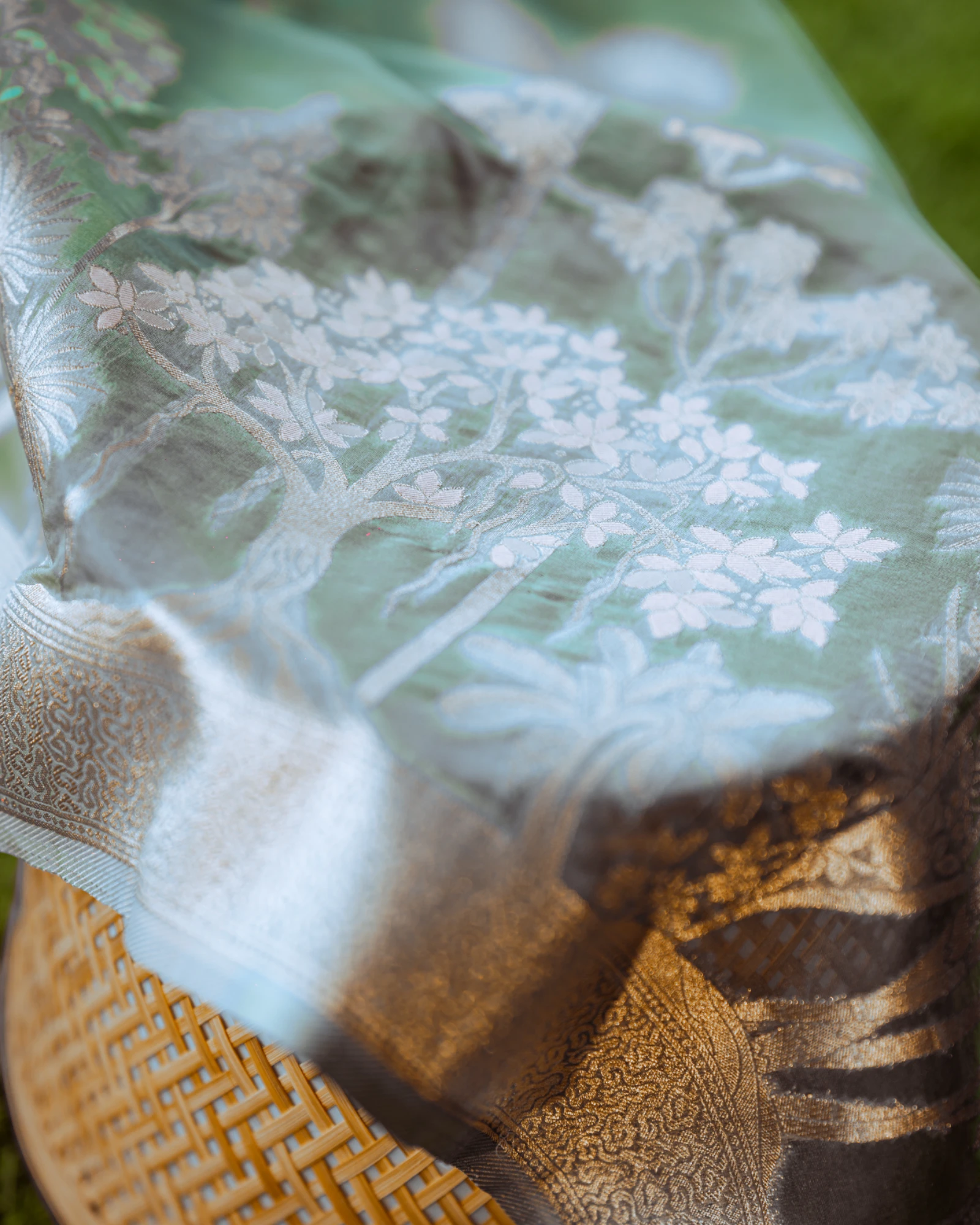 Slate Bhavna Banarasi Organza Saree