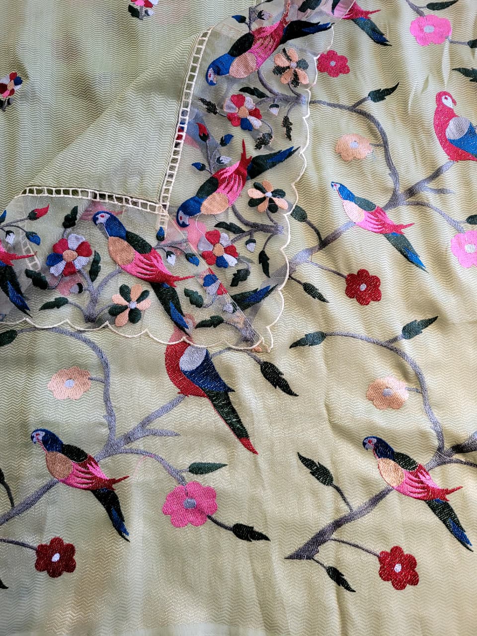 Green Nora Tissue Saree