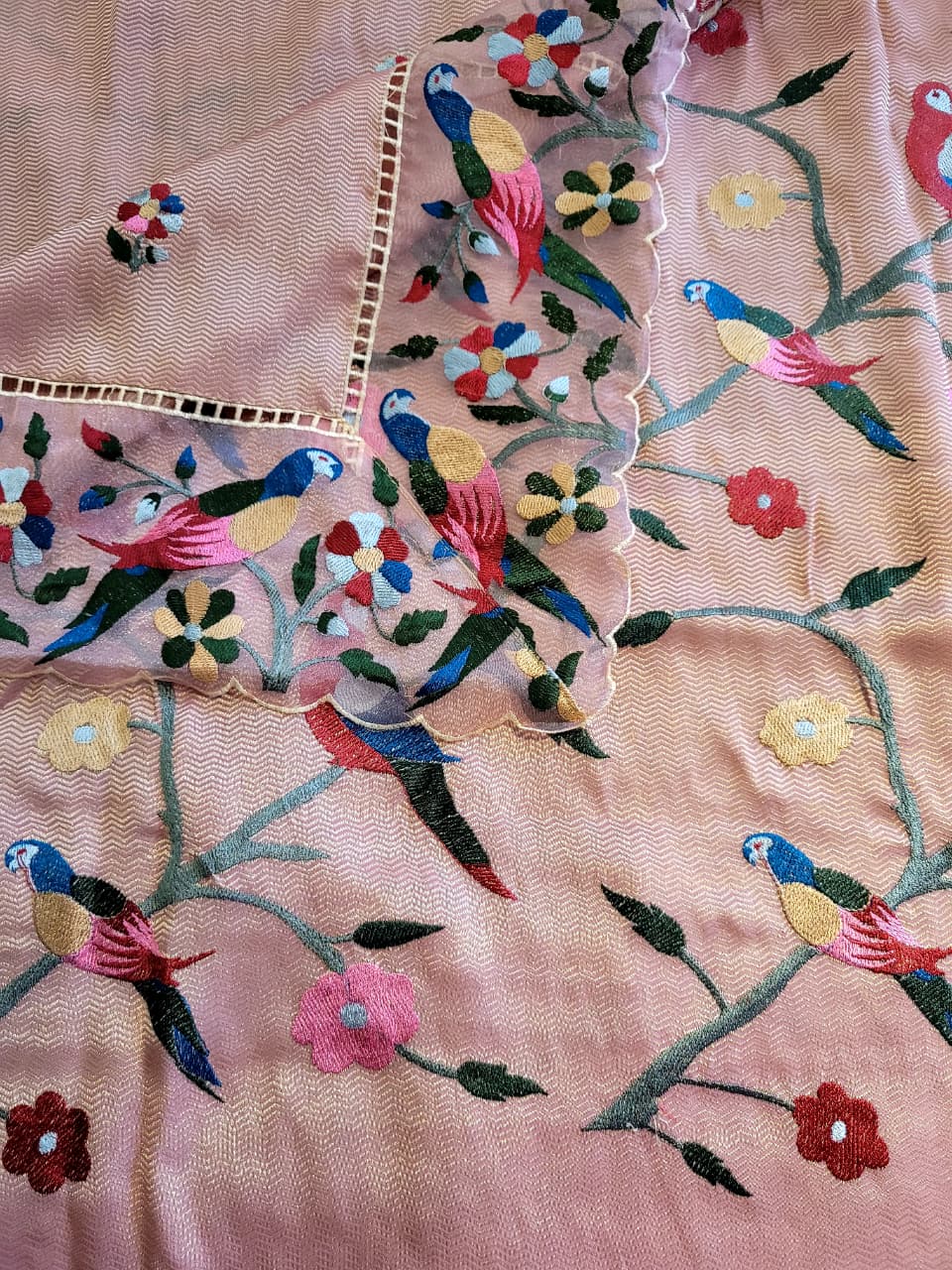 Pink Nora Tissue Saree